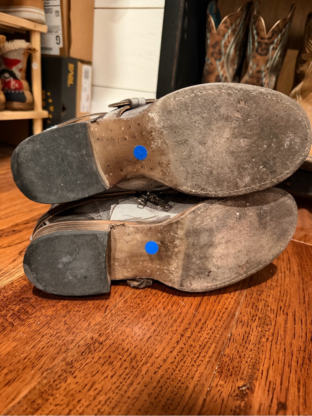 Freebirds! Women's Gray Strappy Leather Ankle Boots - Picture 4 of 4